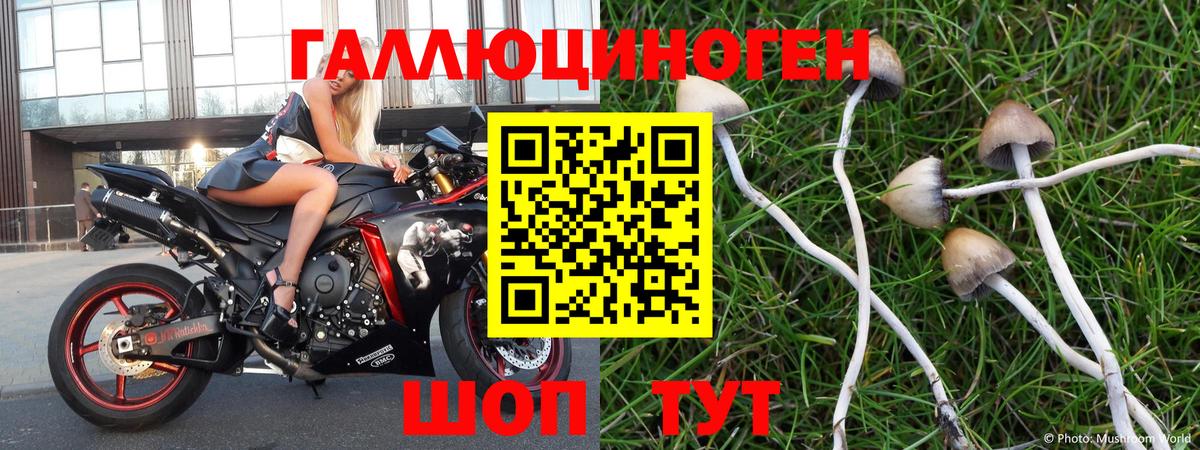 Псилоцибиновые грибы MAGIC MUSHROOMS  Вход с VPN  Орехово-Зуево 